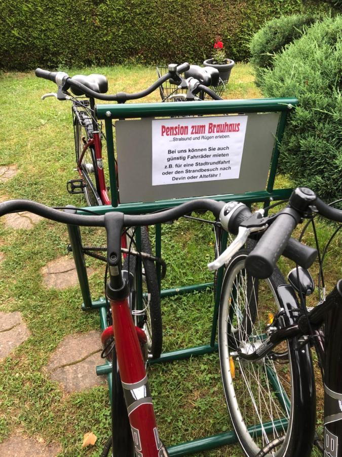 Pension Zum Brauhaus Stralsund Eksteriør billede