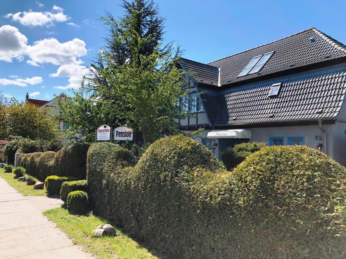 Pension Zum Brauhaus Stralsund Eksteriør billede
